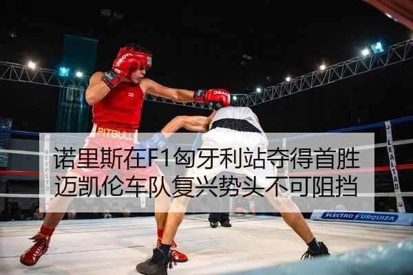 nuo-li-si-zai-xiong-ya-li-zhan-duo-de-shou-sheng-mai-kai-lun-che-dui-fu-xing-shi-tou-bu-ke-zu-dang-2-293.jpg